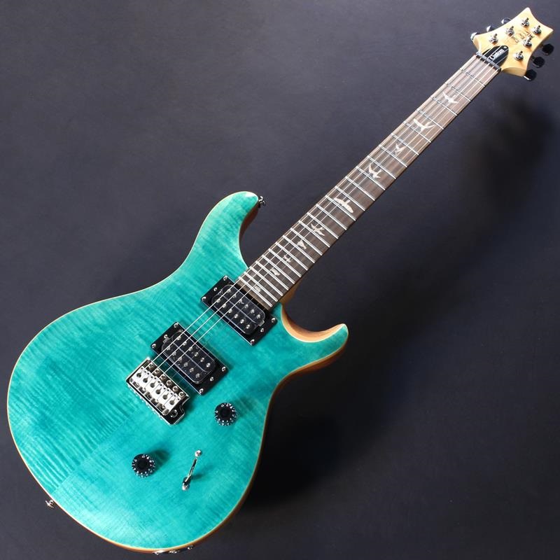 P.R.S. 【「THE IKEBE PRS VAULT」オープン記念キャンペーン】 SE