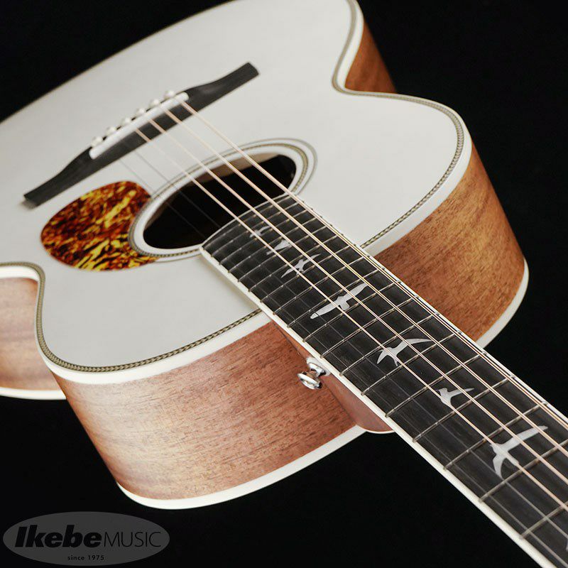 動画追加！】Paul Reed Smith Limited SE P20E Antique White登場