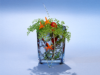 自由花（じゆうか） | いけばなの根源 華道家元池坊