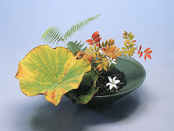 自由花（じゆうか） | いけばなの根源 華道家元池坊