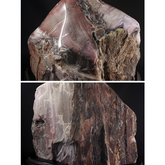 珪化木（木化石）原石置き飾り 5．2kg 天然石販売 名取貴石 天然石