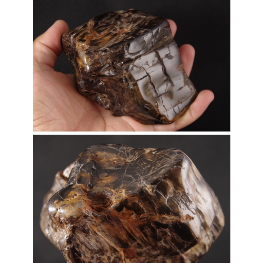 珪化木（木化石）原石磨き 735g 天然石販売 名取貴石 天然石・国産