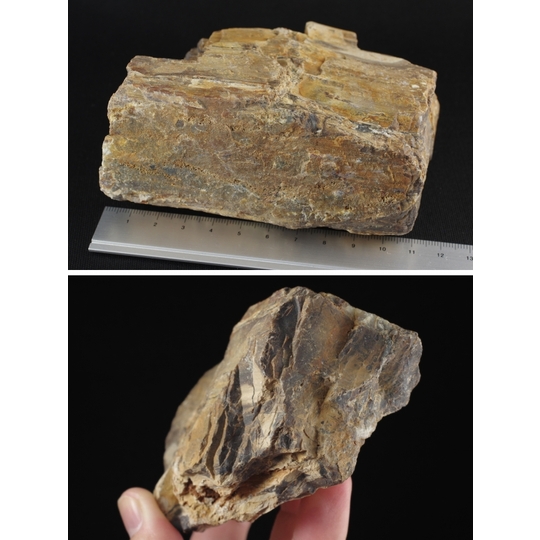 珪化木（木化石）原石 666g 天然石販売 名取貴石 天然石・国産原石