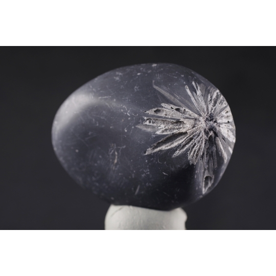 菊花石 127g 天然石販売 名取貴石 天然石・国産原石の専門店｜名取