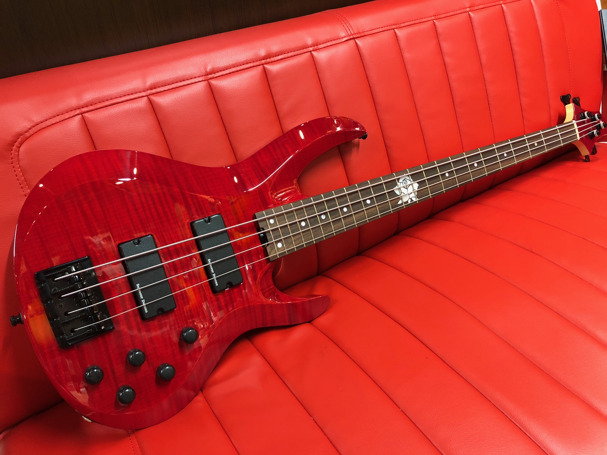 Roselia LISAモデルが緊急入荷！！【ゆりしぃサイン入り認定証付属