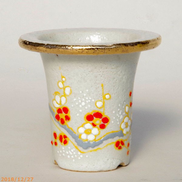 山野草の石田精華園 / 万年青錦鉢(長生蘭錦鉢)