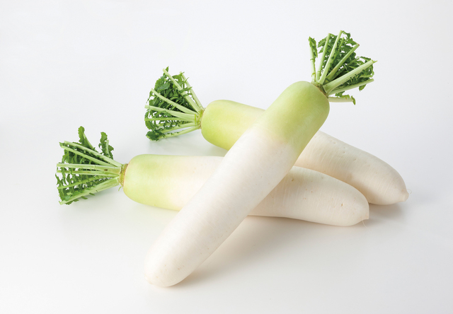 だいこん | いわて食財図鑑 | いわて食財倶楽部