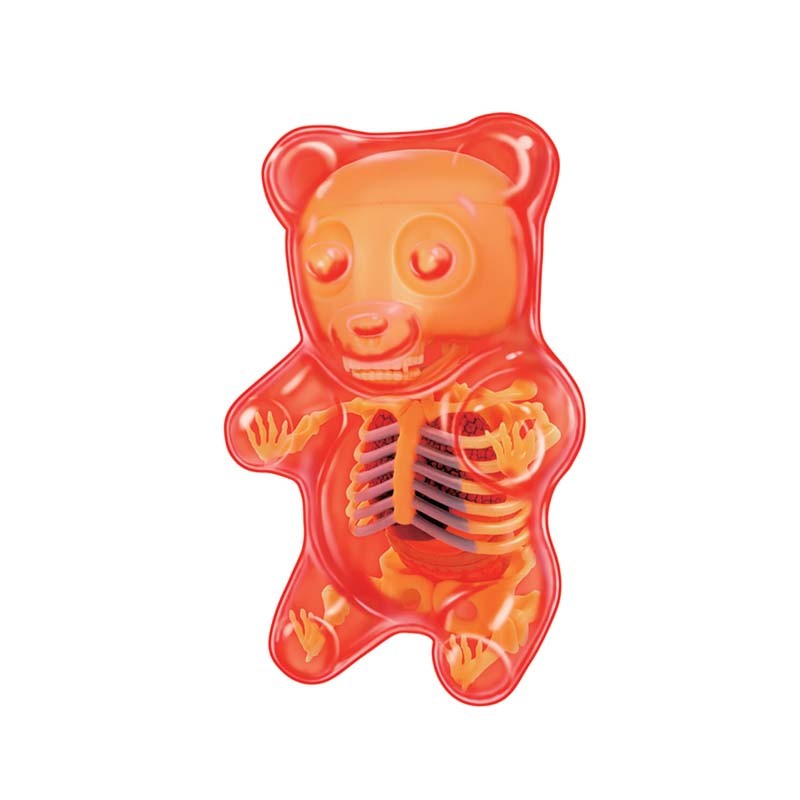 Jason Freeny 4D Gummi Bear Anatomy Red Model