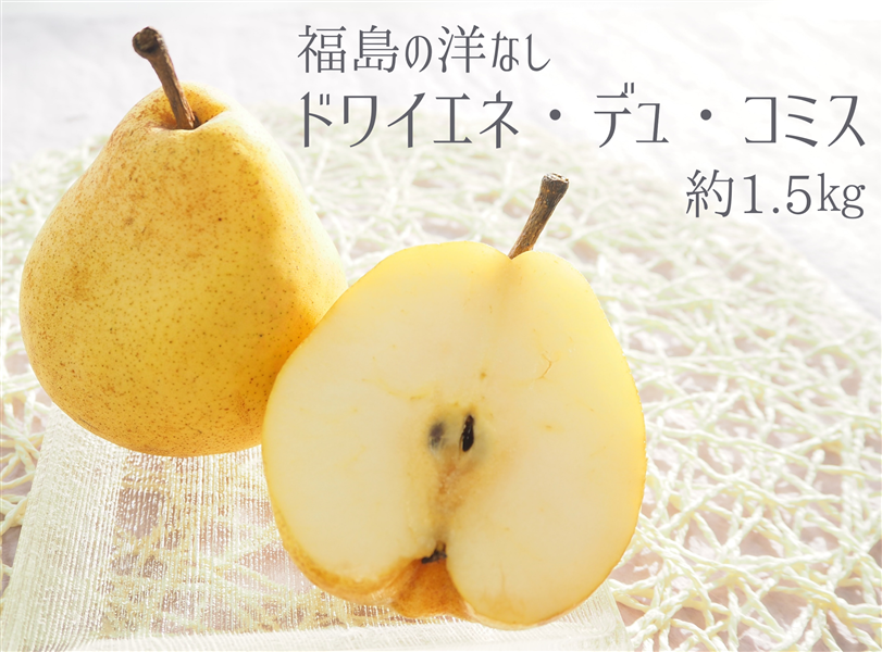 福島の洋なし(ドワイエネ・デュ・コミス) 約1.5㎏ 特秀・秀 5～6玉（10