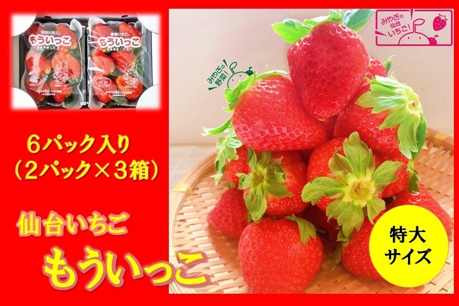 仙台いちご もういっこ（6パック入り）: タウンショップみやぎ|【JA