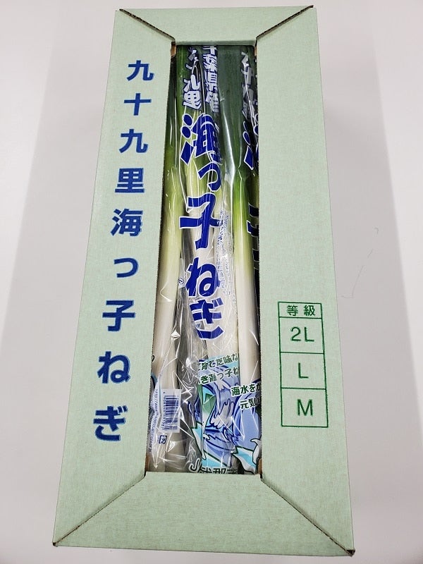 JA山武郡市 九十九里 海っ子ねぎ: JA全農ちば 愛情いちばん館|【JA