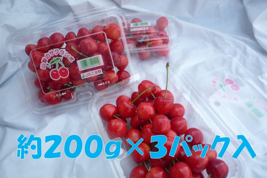 さくらんぼ 200g×3パック 6月4日頃から発送: フルーツ王国やまなし