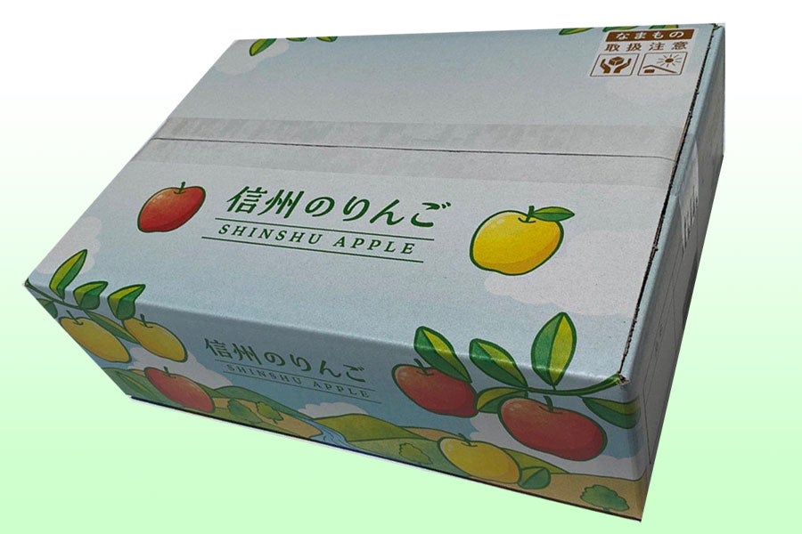 JAグリーン長野 サンふじ＆シナノゴールド詰合せセット 約3kg(9-12玉