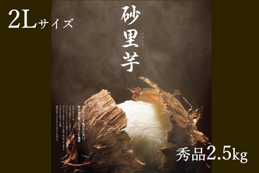 さといも 砂里芋（さりいも） 秀品2.5kg 2Lサイズ: ハロー！！JA全農