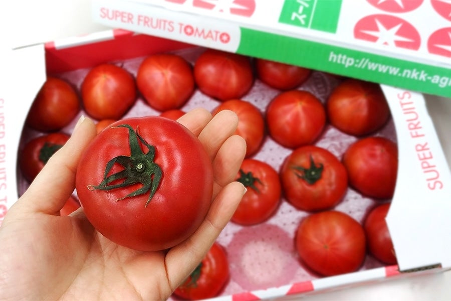 KEKのスーパーフルーツトマト (7～13玉)平均糖度9度以上！: いいもの