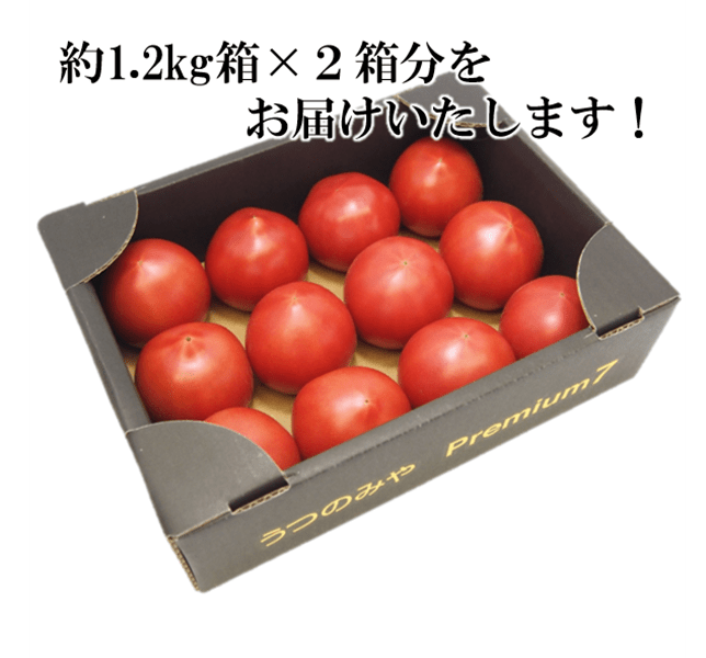 Premium7 トマト (約1.2kg×2箱) JAうつのみや産 ※3/9以降順次出荷予定
