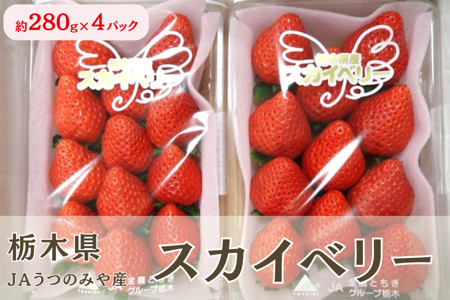 苺 スカイベリー （約280g×4パック）栃木県 JAうつのみや産: とちぎ