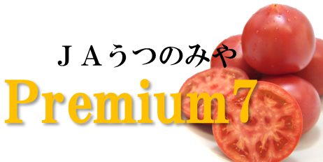 Premium7 トマト (約1.2kg×1箱) JAうつのみや産 ※3/9～順次出荷予定