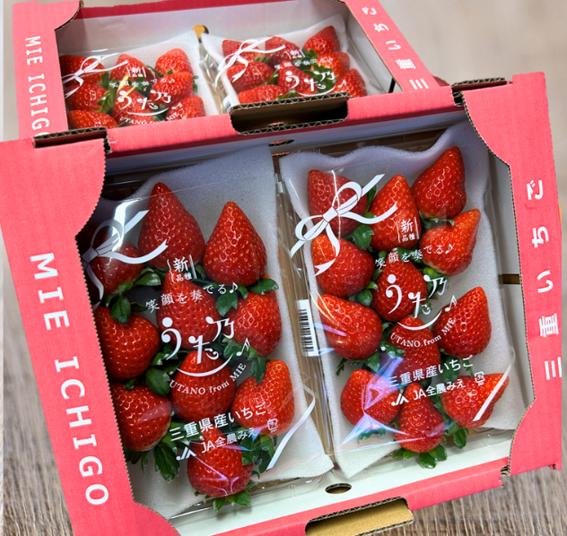 新品種】三重県産いちご「うた乃」250g×2パック ※配送日指定不可: 三重