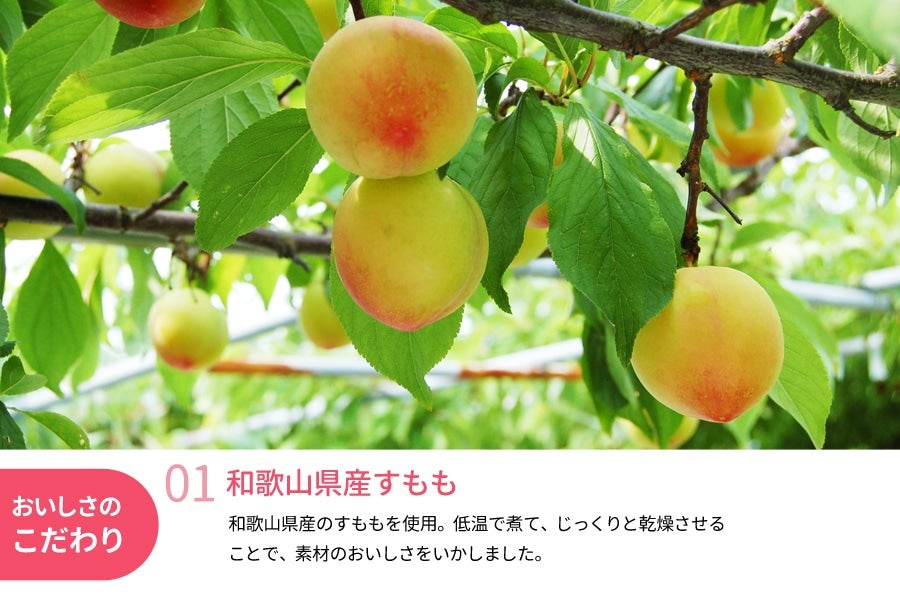 ポスト投函】ドライフルーツすもも 20g×6袋(紀南): ココ・カラ。和歌山