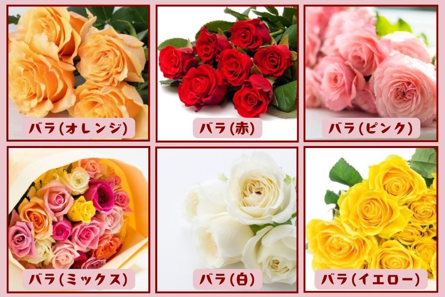 生産農場直送！こだわりのバラの花束 100本: 正直やまぐち|【JA