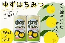 のど飴みたいなドリンク ゆずはちみつ 190ml×30本入: 正直やまぐち