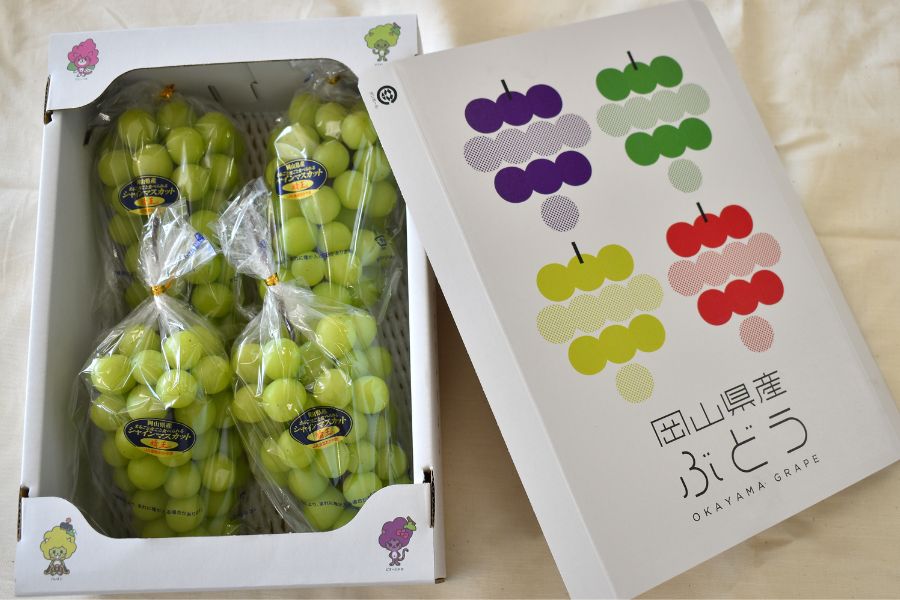 ご家庭用】シャインマスカット 3～5房詰 岡山県産（9月上旬頃～10