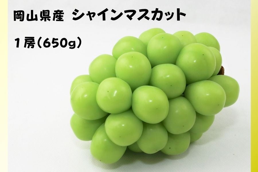 福袋】岡山県産ぶどう詰合せセット（全4品）8月中旬頃～9月上旬発送