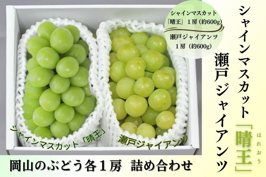 シャインマスカット&瀬戸ジャイアンツ 各1房詰 岡山県産（8月中旬