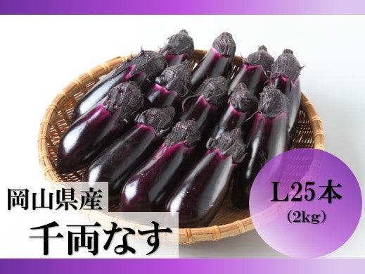 岡山県産 千両なす L2kg（25本）【出荷曜日固定】: おいしいおかやま
