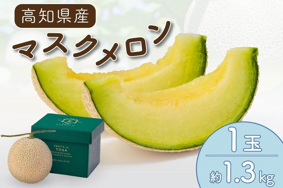 マスクメロン 1玉入 約1.3kg 5月8日頃より順次発送: とさのさとアグリ
