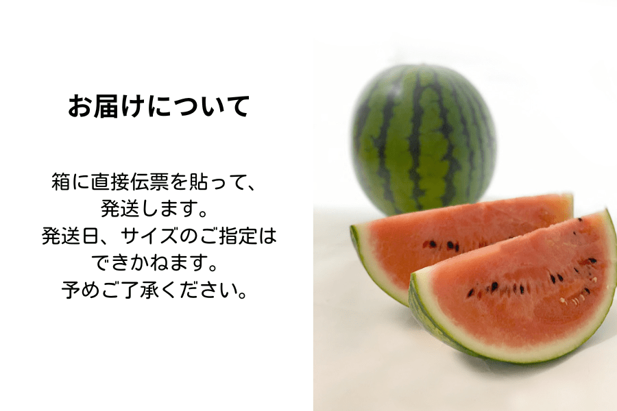 2026年6月中旬予約開始予定】◎JA北九 若松潮風プレミアム☆秀2L～L