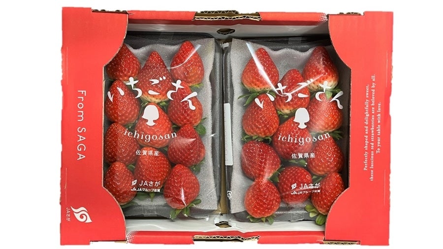 佐賀県産 いちごさん 約240g×2パック: さが風土館 季楽|【JAタウン
