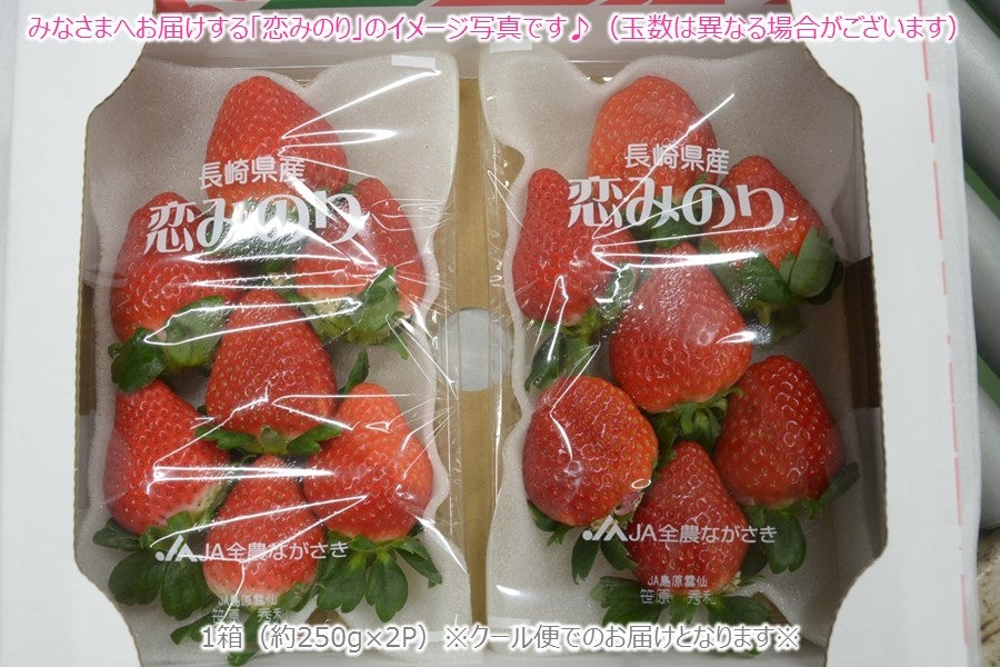 A 長崎県産 恋みのり（いちご）1箱（大玉約250g×2P）JA島原雲仙