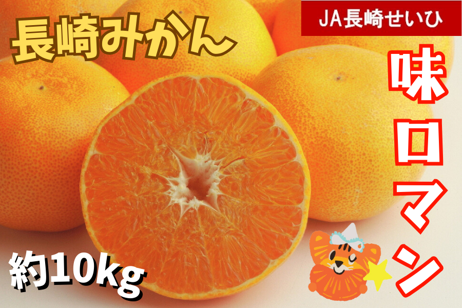 数量限定】長崎みかん『味ロマン 約10kg』(JA長崎せいひ): もぐもぐ