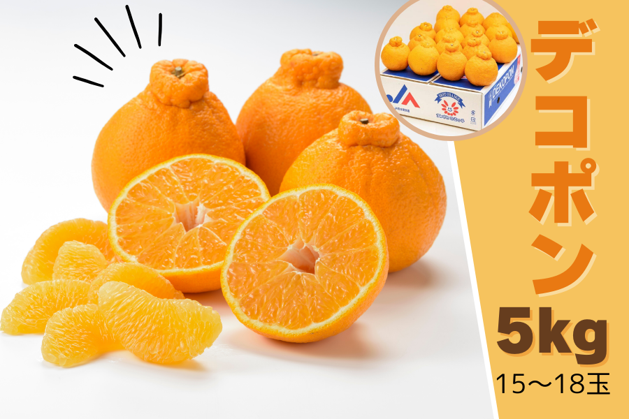 熊本県産 デコポン約5kg: you+youくまもと 農畜産物市場|【JAタウン