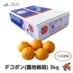 JAあしきた】デコポン（露地栽培） 3kg【予約／2月中旬から3月中旬のお