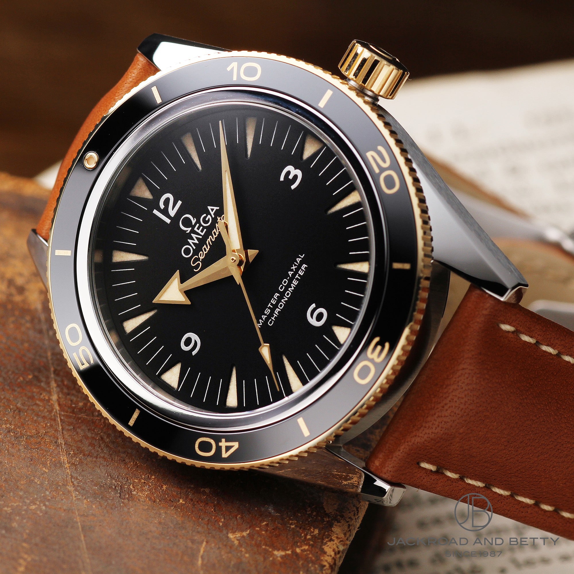 シーマスター 300 マスター コーアクシャル[233.22.41.21.01.001