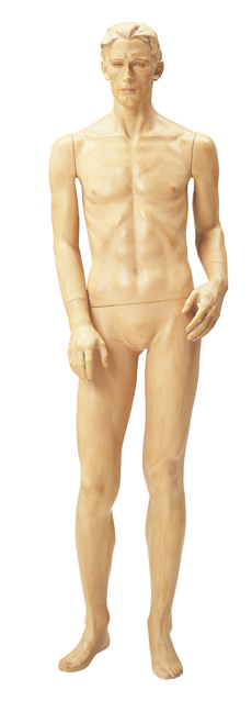 Maestro 現代巨匠伝