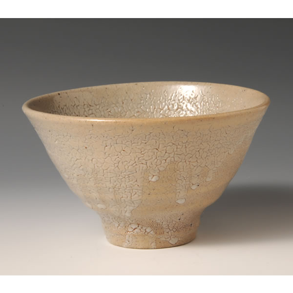Japan Pottery Net / 唐津井戸茶碗