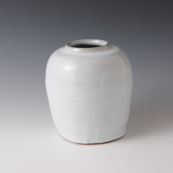 Japan Pottery Net / 白釉窯変壺 E