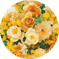 YAM-2307-05 わちふぃーるど 月に聞かせる音楽会 1126ピース やのまん