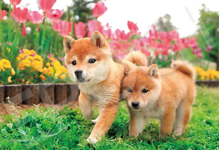 EPO-79-520 ペット・動物 いっしょに走るわん！ 100ピース エポック社