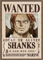 ENS-208-106 ワンピース 懸賞金40億4890万ベリー 208ピース エンスカイ