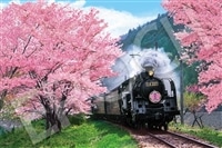 EPO-09-020s 風景 桜と大井川鐵道-静岡 1000ピース ［CP-SK］ ［CP-JS