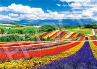 EPO-54-240 風景 虹色の四季彩の丘-北海道 2000ピース ［CP-NT］ ［CP