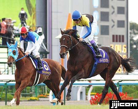 ◎ディープインパクト 菊花賞を制し三冠に輝…：時代を駆け抜けた名馬