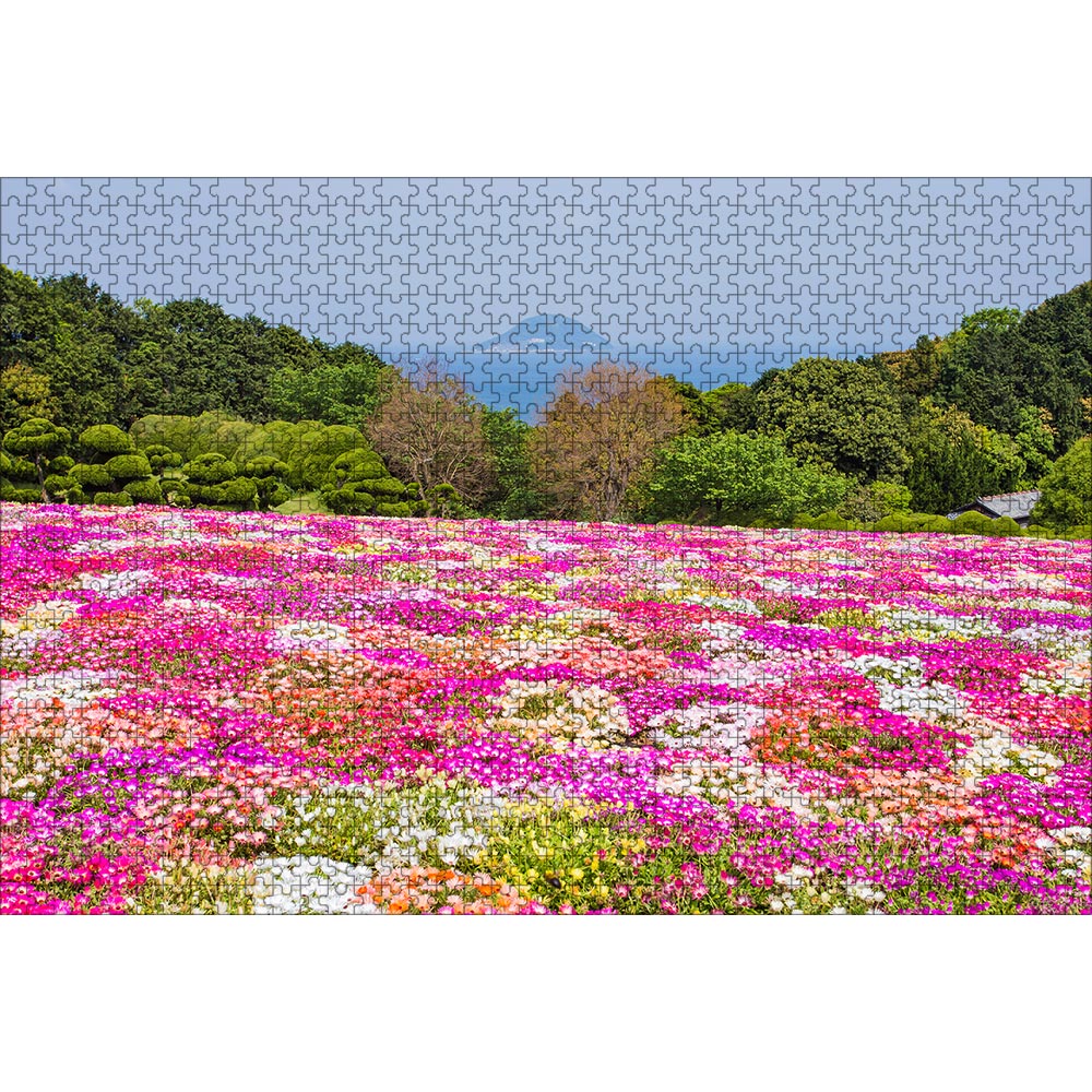 ジグソーパズル 花畑 1000ピース 50×75cm | ジグソーパズル通販専門店