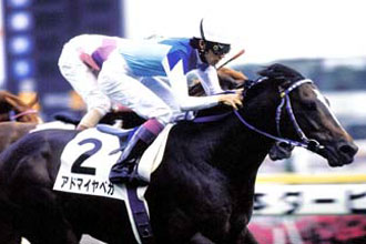 JRAホームページ｜データファイル｜競走成績データ