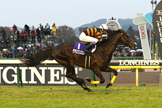 JRAホームページ｜データファイル｜競走成績データ